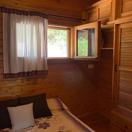 Ataraxia En Pr4tdip *